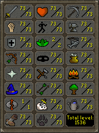 Skill Guides
